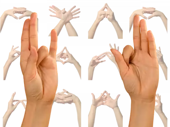 Mudras místicos: una serie de talleres mensuales de fusión de Reiki y Yoga