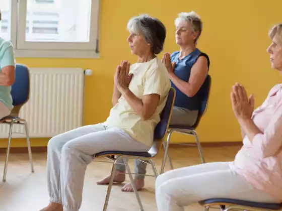Surya sentado: Taller de saludos al sol de yoga en silla (serie de 3 partes)