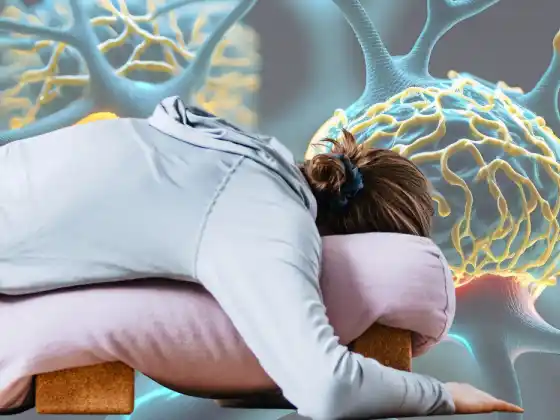 Movimiento consciente: exploración y comprensión de la neuroplasticidad en el Yin Yoga